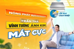 NÓNG PHÁT BỰC? DÙNG TẤM VĨNH TƯỜNG ÁNH KIM MÁT CỰC
