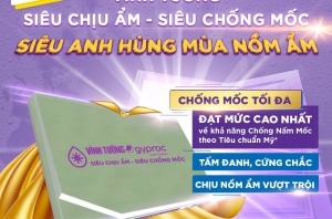 Tấm Thạch Cao Vĩnh Tường Siêu Chịu Ẩm – Giải Pháp Chống Nồm Ẩm, Chống Mốc Hiệu Quả Cho Mọi Công Trình