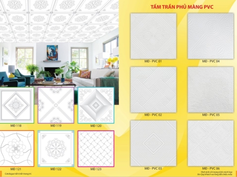THẠCH CAO MẠNH ĐÌNH