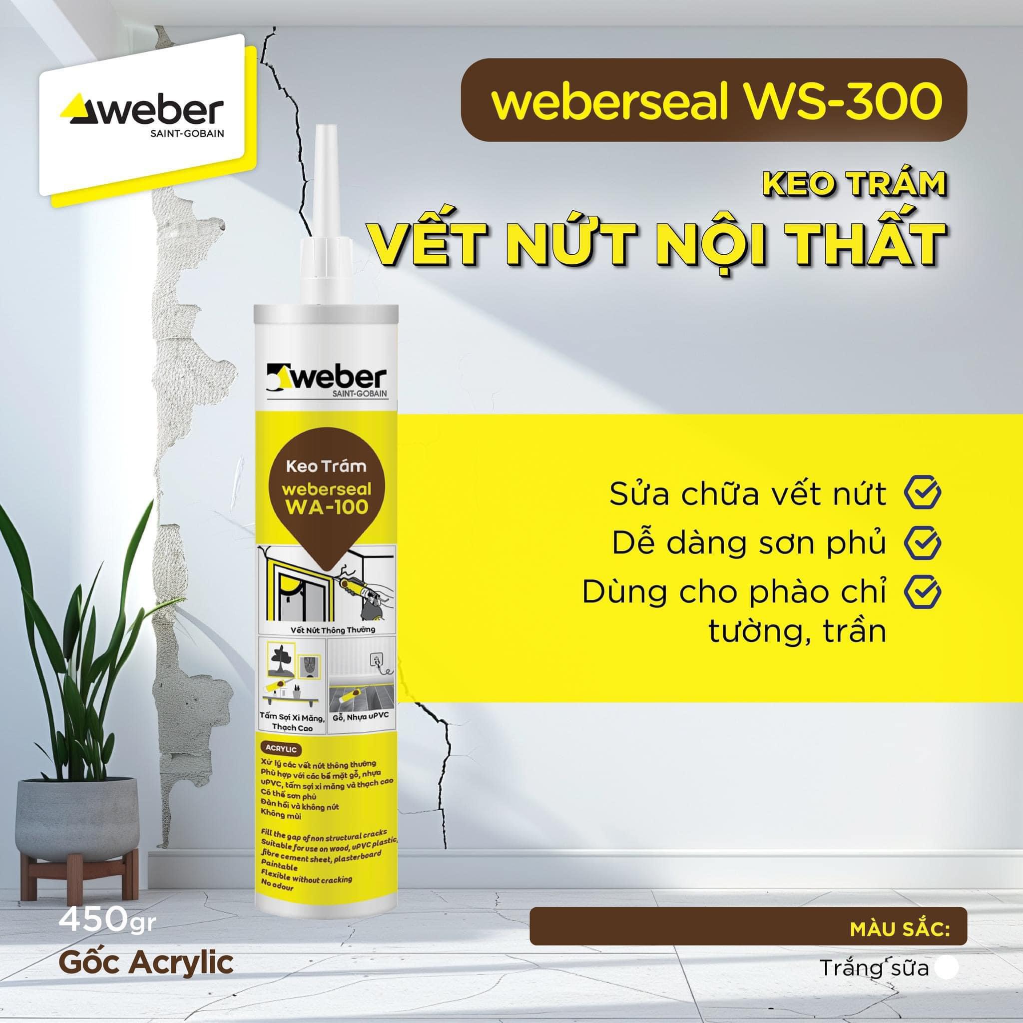 Keo Trám Silicone Weber Chính Hãng Tại Bình Dương