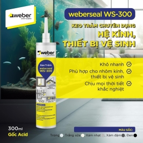 KEO TRÁM SILICONE WEBERSEAL WS-300